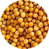 apnagodam.png