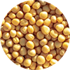 apnagodam.png
