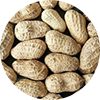 apnagodam.png